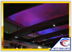Ceiling Cleaning and Specialty Cleaning Experts Ceiling Cleaning and Specialty Cleaning Experts to handle even your toughest cleaning needs