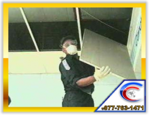 We Replace Water Damaged Ceiling Tile We Replace Water Damaged Ceiling Tile during the Cleaning and Remodeling Process