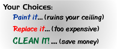 Here are your options for maintenance of your acoustical ceilings.