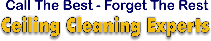 Ceiling Cleaning Experts Ceiling Cleaners that you can expect the best and forget the rest