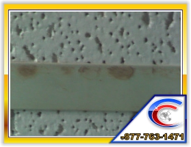 Here is what your grids/t-Bar and diffusers could look like if your diffuser and grids are not restored using the right ceiling cleaning products. Here is what your grids/t-Bar and diffusers could look like if your diffuser and grids are not restored using the right ceiling cleaning products.